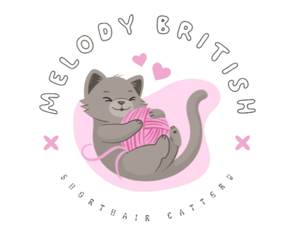 melodybritishshorthair.com